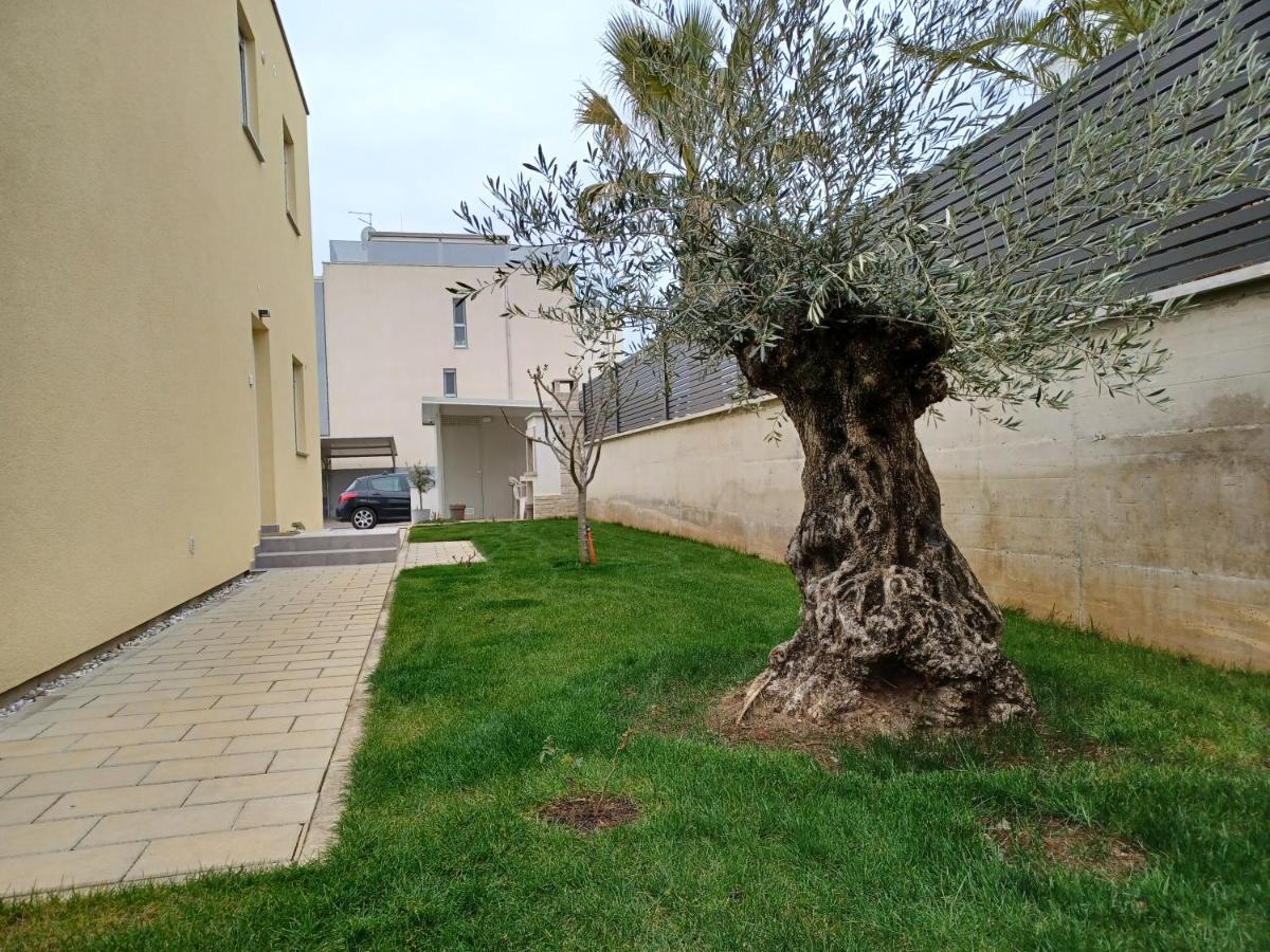 Apartments Leon 2 Novigrad Istria エクステリア 写真